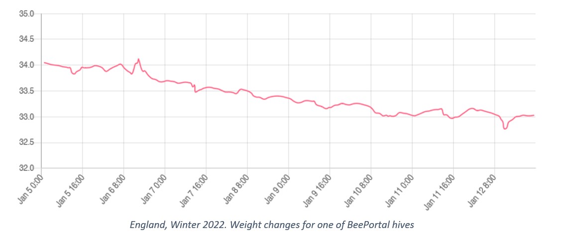 BeePortal Beehive Scale